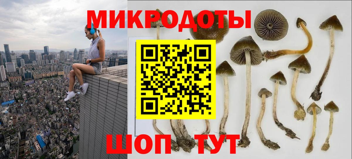 Псилоцибиновые грибы Psilocybe  Вход с VPN  купить наркотик  Краснотурьинск 