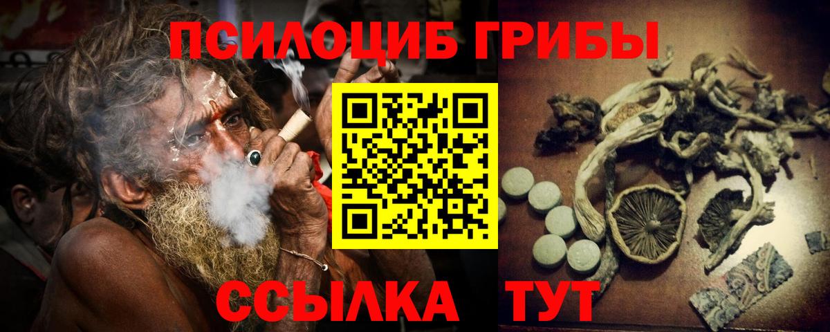 Псилоцибиновые грибы мицелий Краснотурьинск